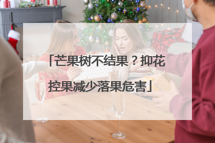 芒果树不结果？抑花控果减少落果危害