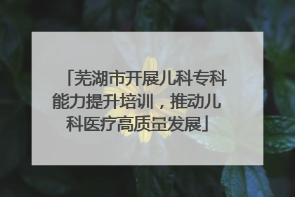 芜湖市开展儿科专科能力提升培训，推动儿科医疗高质量发展