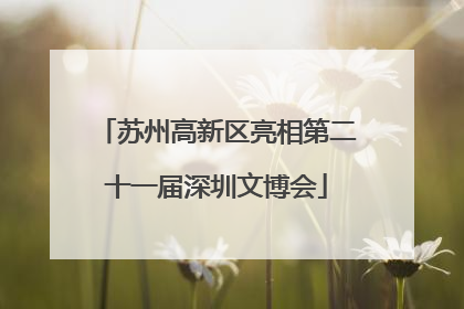 苏州高新区亮相第二十一届深圳文博会