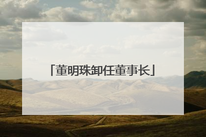 董明珠卸任董事长