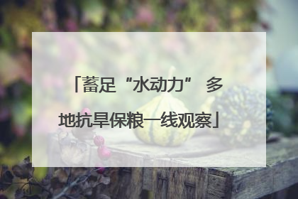 蓄足“水动力” 多地抗旱保粮一线观察