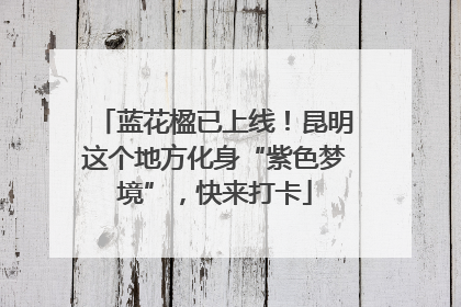 蓝花楹已上线！昆明这个地方化身“紫色梦境”，快来打卡