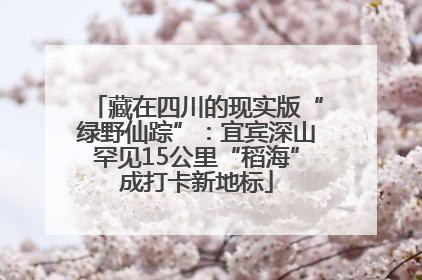 藏在四川的现实版“绿野仙踪”：宜宾深山罕见15公里“稻海”成打卡新地标