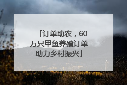 订单助农，60万只甲鱼养殖订单助力乡村振兴
