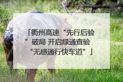 衢州高速“先行后验”破局 开启绿通查验“无感通行快车道”