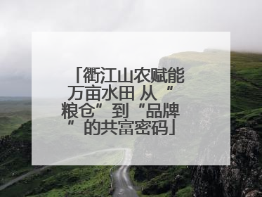 衢江山农赋能万亩水田 从“粮仓”到“品牌”的共富密码