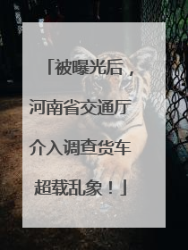 被曝光后，河南省交通厅介入调查货车超载乱象！
