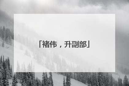 褚伟，升副部