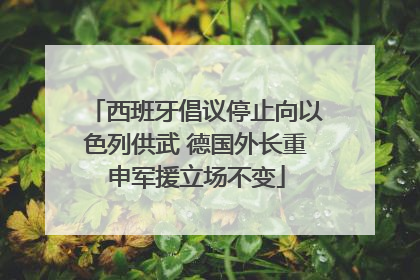 西班牙倡议停止向以色列供武 德国外长重申军援立场不变