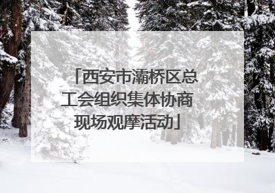 西安市灞桥区总工会组织集体协商现场观摩活动