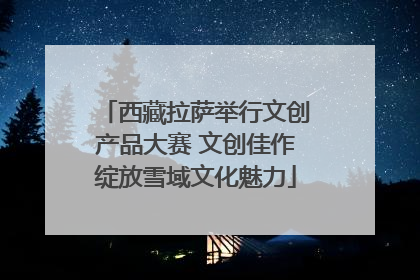 西藏拉萨举行文创产品大赛 文创佳作绽放雪域文化魅力