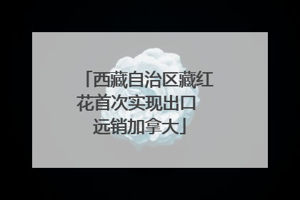 西藏自治区藏红花首次实现出口 远销加拿大
