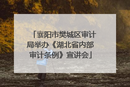 襄阳市樊城区审计局举办《湖北省内部审计条例》宣讲会