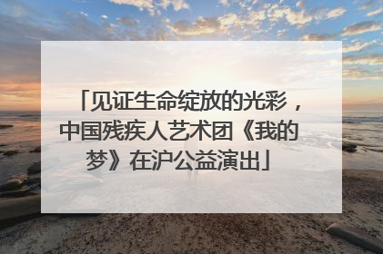 见证生命绽放的光彩，中国残疾人艺术团《我的梦》在沪公益演出