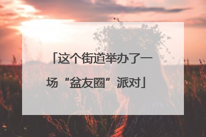 这个街道举办了一场“盆友圈”派对