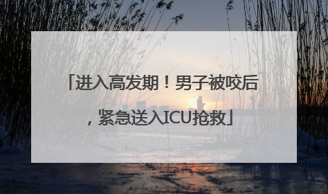 进入高发期！男子被咬后，紧急送入ICU抢救
