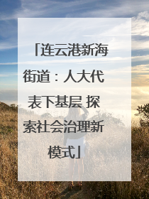 连云港新海街道：人大代表下基层 探索社会治理新模式