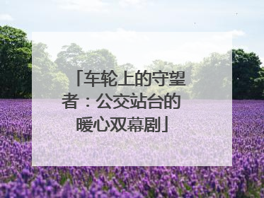 车轮上的守望者：公交站台的暖心双幕剧