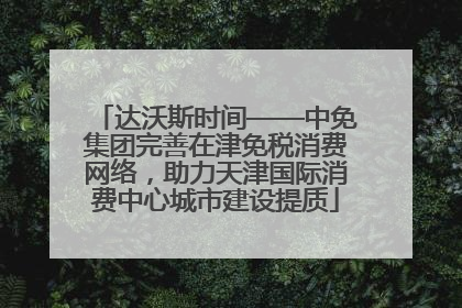 达沃斯时间——中免集团完善在津免税消费网络，助力天津国际消费中心城市建设提质