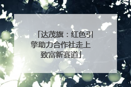 达茂旗：红色引擎助力合作社走上致富新赛道