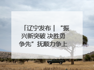 辽宁发布｜“振兴新突破 决胜勇争先”抚顺力争上半年地区生产总值增长7%左右