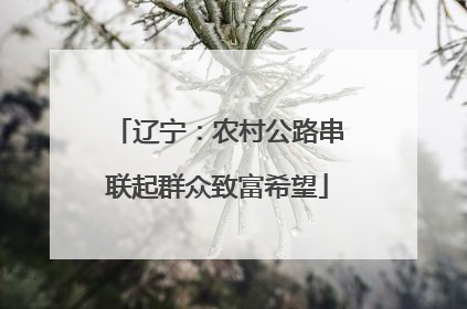 辽宁：农村公路串联起群众致富希望