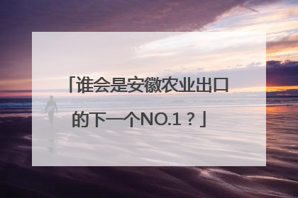 谁会是安徽农业出口的下一个NO.1？