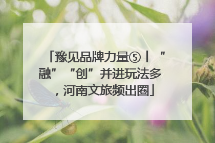 豫见品牌力量⑤丨“融”“创”并进玩法多，河南文旅频出圈