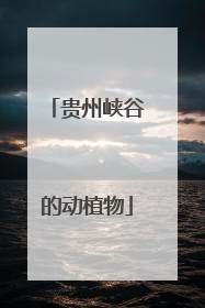 贵州峡谷的动植物