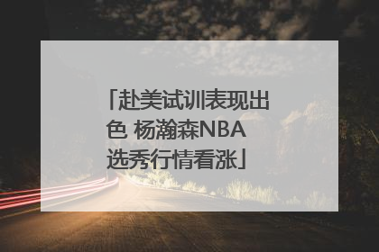 赴美试训表现出色 杨瀚森NBA选秀行情看涨