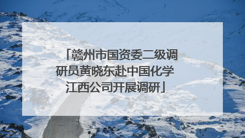 赣州市国资委二级调研员黄晓东赴中国化学江西公司开展调研
