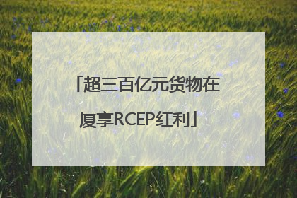 超三百亿元货物在厦享RCEP红利