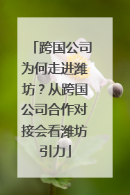 跨国公司为何走进潍坊？从跨国公司合作对接会看潍坊引力