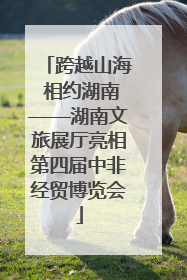 跨越山海 相约湖南——湖南文旅展厅亮相第四届中非经贸博览会