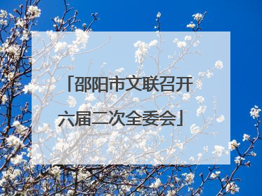 邵阳市文联召开六届二次全委会