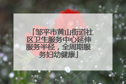 邹平市黄山街道社区卫生服务中心延伸服务半径，全周期服务妇幼健康