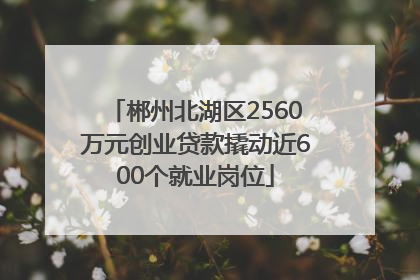 郴州北湖区2560万元创业贷款撬动近600个就业岗位