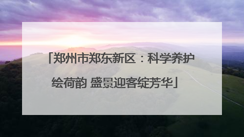 郑州市郑东新区：科学养护绘荷韵 盛景迎客绽芳华