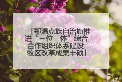 鄂温克族自治旗推进“三位一体”综合合作组织体系建设 牧区改革成果丰硕