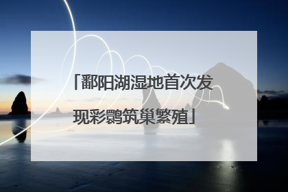 鄱阳湖湿地首次发现彩鹮筑巢繁殖