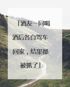 酒友一同喝酒后各自驾车回家，结果都被抓了