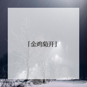 金鸡菊开