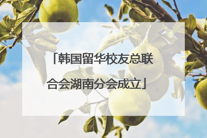 韩国留华校友总联合会湖南分会成立