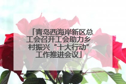 青岛西海岸新区总工会召开工会助力乡村振兴“十大行动”工作推进会议