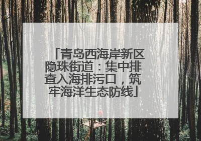 青岛西海岸新区隐珠街道：集中排查入海排污口，筑牢海洋生态防线