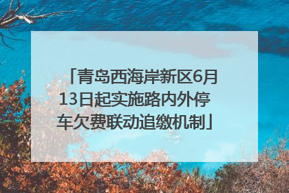 青岛西海岸新区6月13日起实施路内外停车欠费联动追缴机制