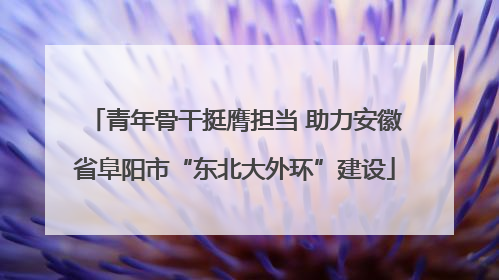 青年骨干挺膺担当 助力安徽省阜阳市“东北大外环”建设