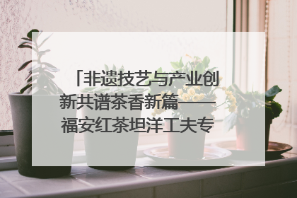 非遗技艺与产业创新共谱茶香新篇——福安红茶坦洋工夫专场推介会在京举办