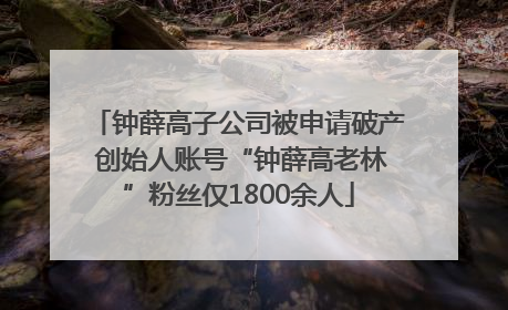 钟薛高子公司被申请破产 创始人账号“钟薛高老林”粉丝仅1800余人