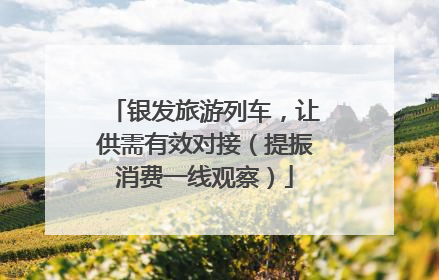 银发旅游列车，让供需有效对接（提振消费一线观察）